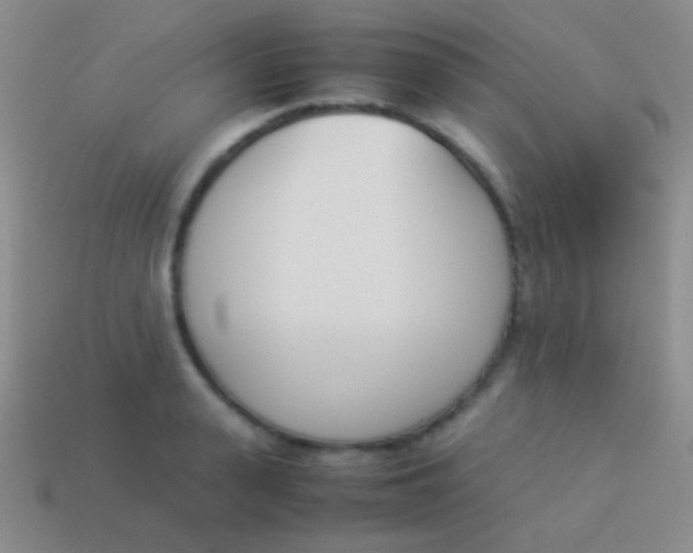 X0000114230943200910231501