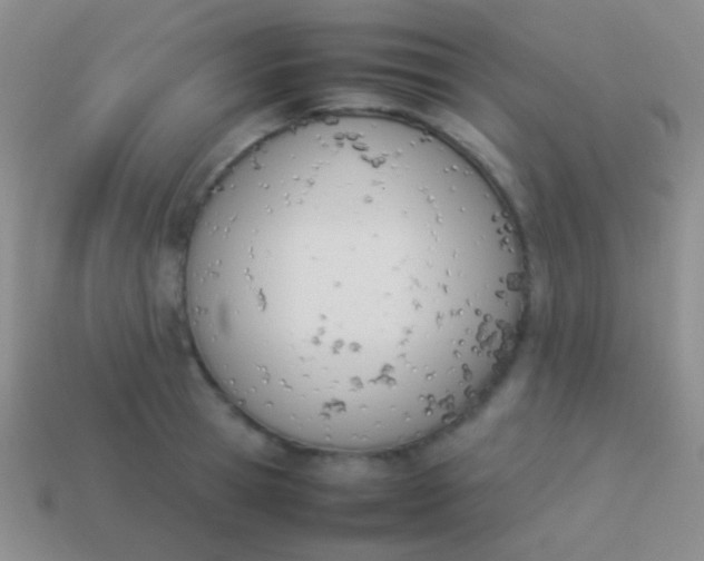 X0000114230945200910231501