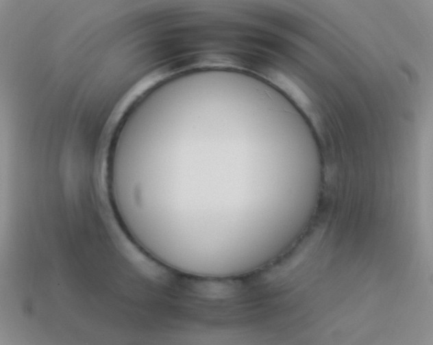 X0000114230947200910231501
