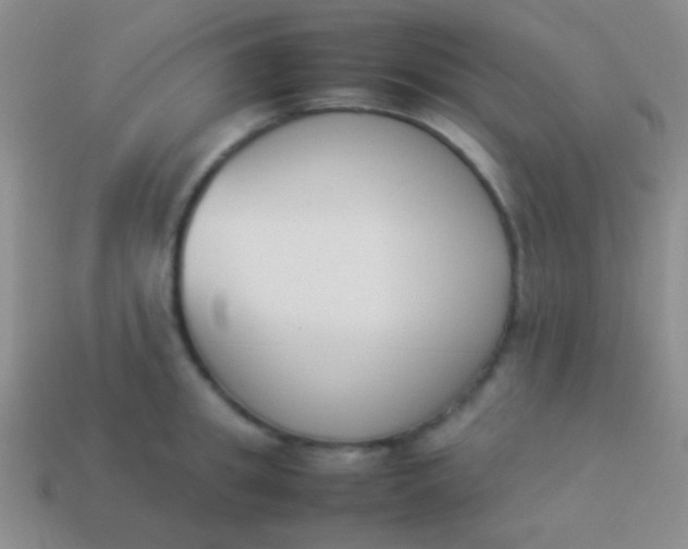 X0000114230949200910231501