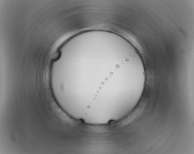 X0000114230952200910231501