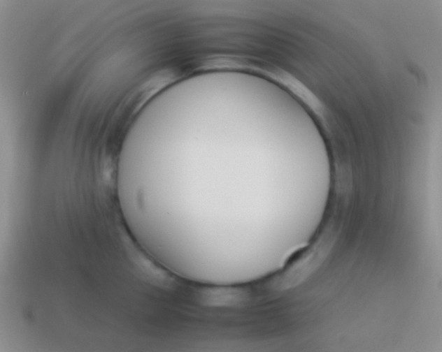 X0000114230953200910231501