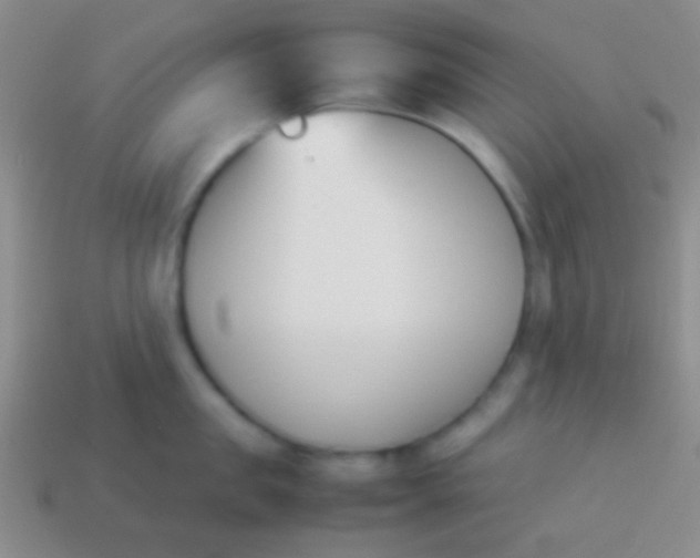 X0000114230957200910231501