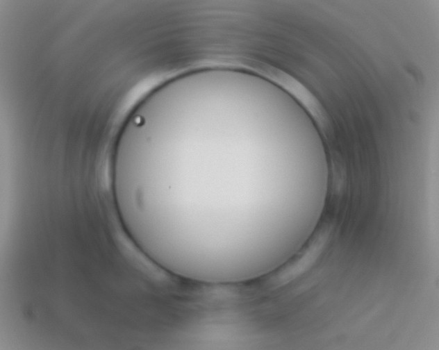 X0000114230958200910231501