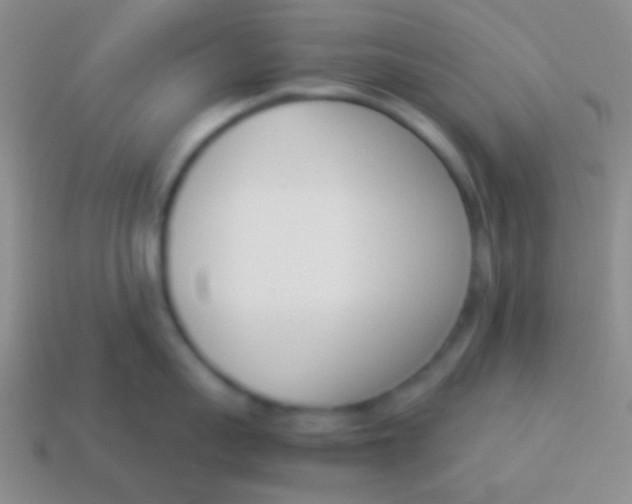 X0000114230959200910231501