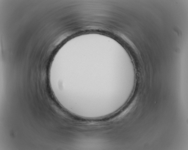X0000114230969200910231500