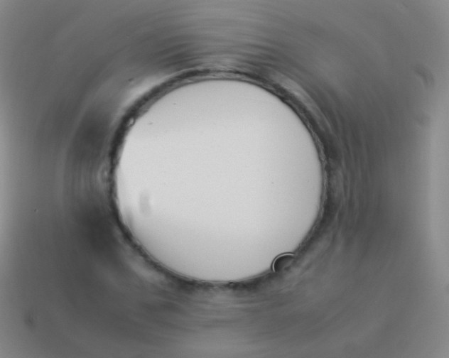 X0000114230971200910231500