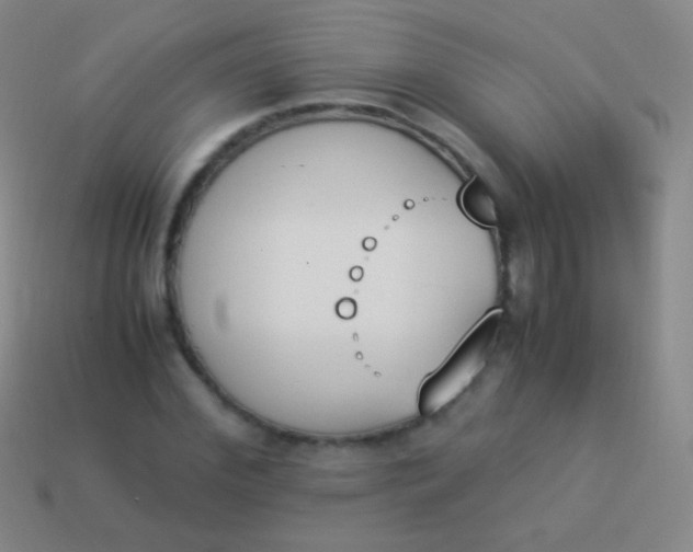 X0000114230972200910231500