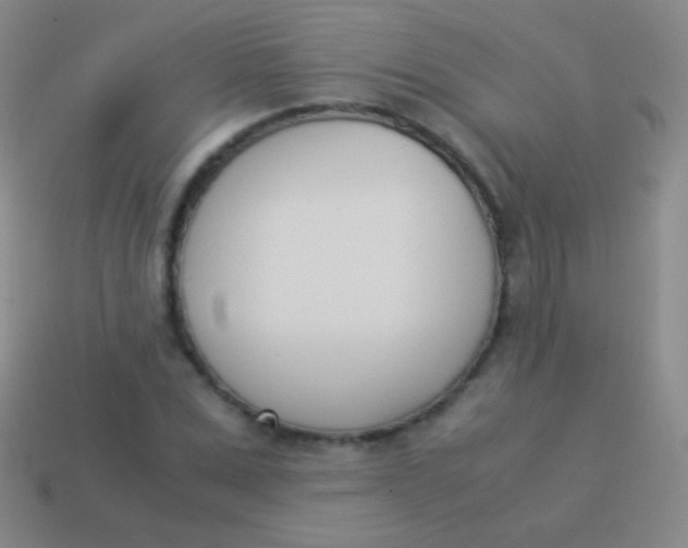 X0000114230975200910231500