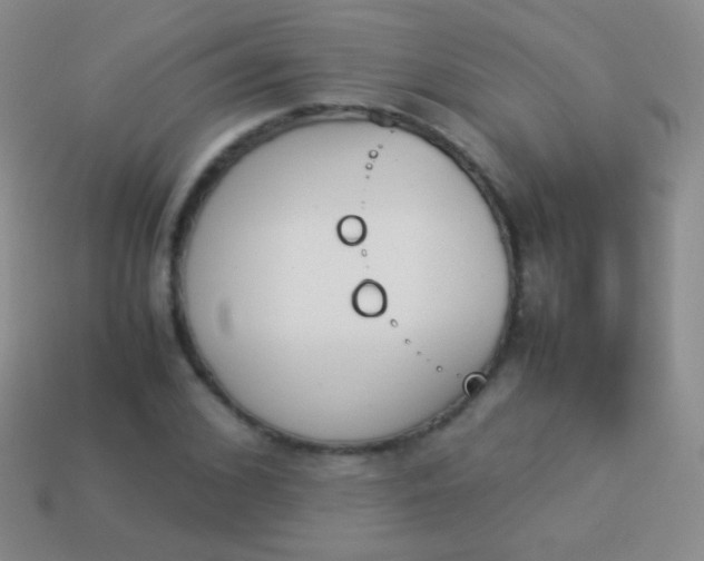 X0000114230976200910231500