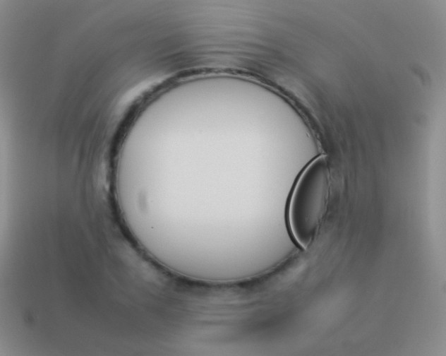 X0000114230979200910231500