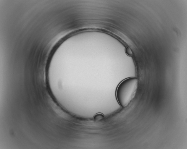 X0000114230980200910231500