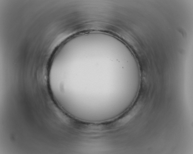 X0000114230981200910231500