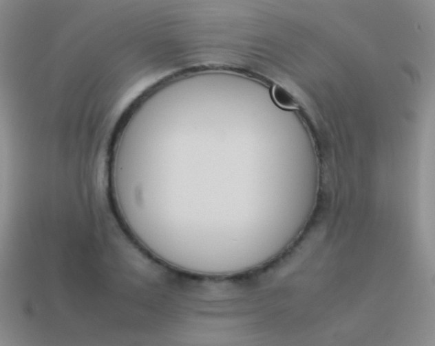X0000114230983200910231500