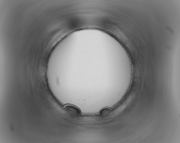 X0000114230985200910231500