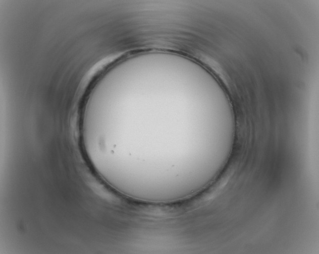 X0000114230987200910231500