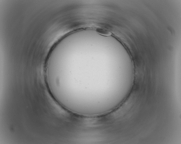 X0000114230989200910231500