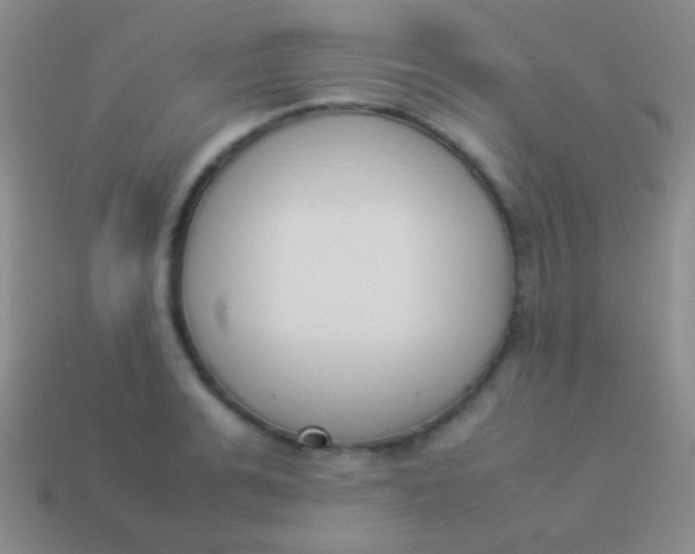 X0000114230991200910231500