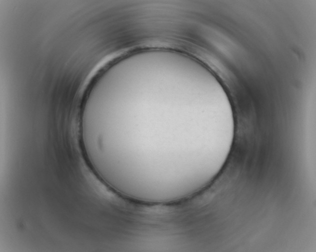 X0000114230992200910231500