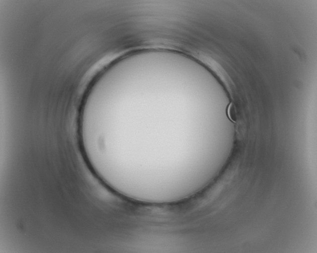 X0000114230995200910231500