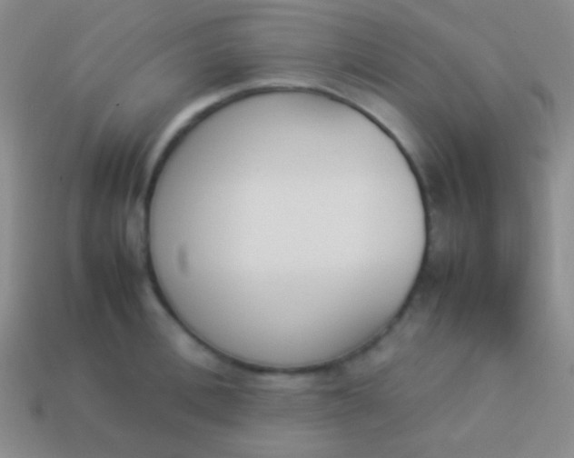 X0000114230996200910231500