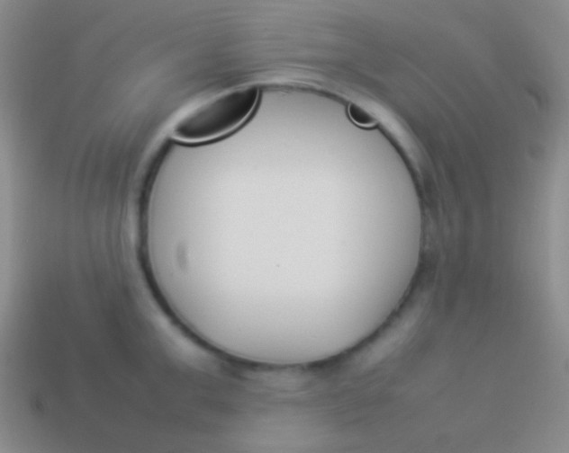 X0000114230999200910231500