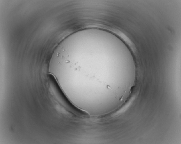 X0000114231001200910231500