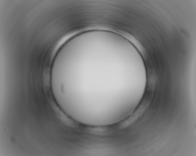 X0000114231004200910231500