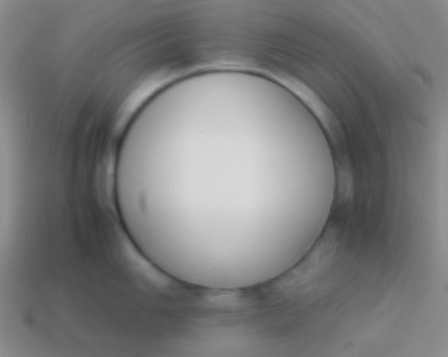 X0000114231006200910231500