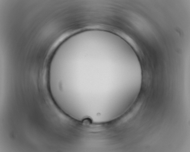X0000114231007200910231500