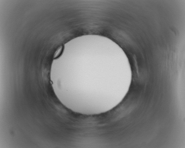 X0000114231010200910231459