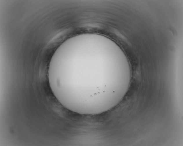 X0000114231014200910231459