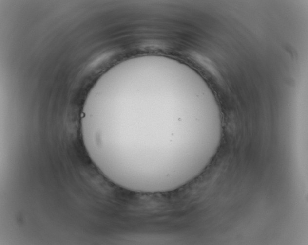 X0000114231015200910231459