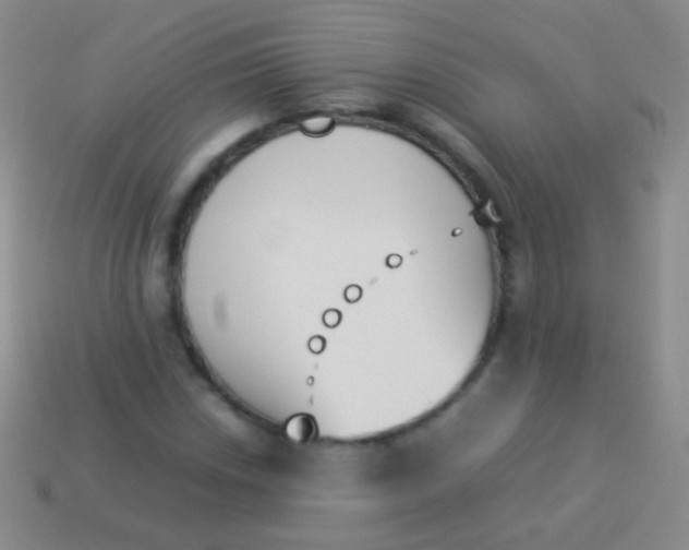 X0000114231018200910231459