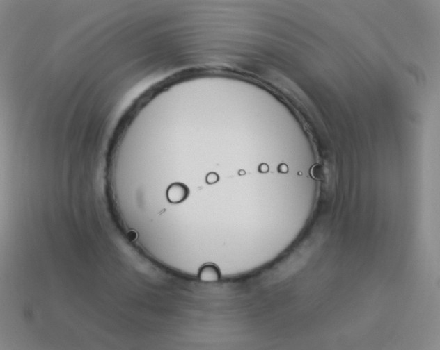 X0000114231020200910231459