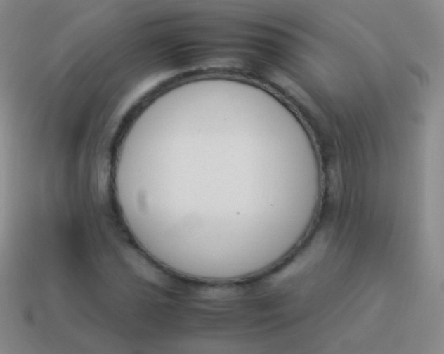 X0000114231021200910231459