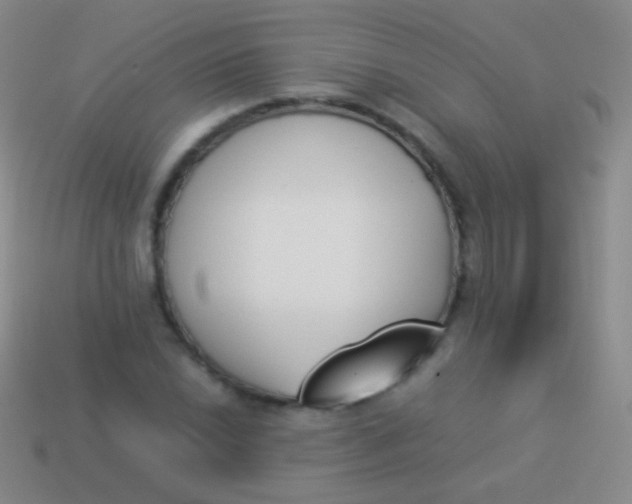 X0000114231022200910231459
