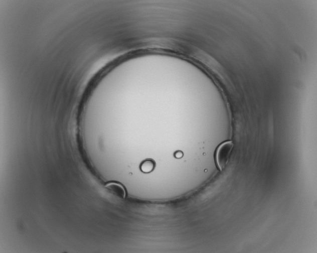X0000114231024200910231459