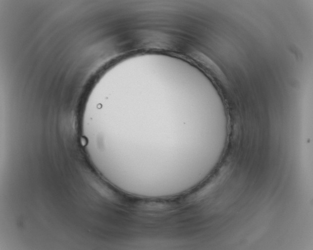 X0000114231027200910231459