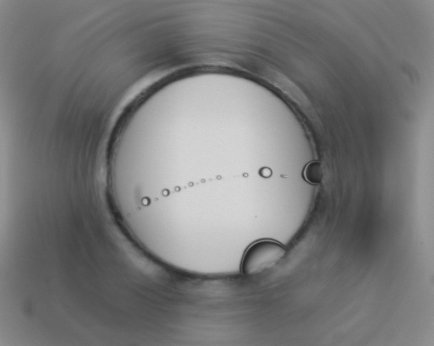 X0000114231028200910231459