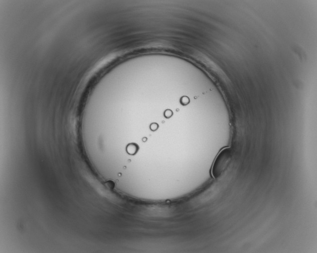 X0000114231029200910231459