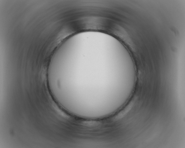 X0000114231033200910231459