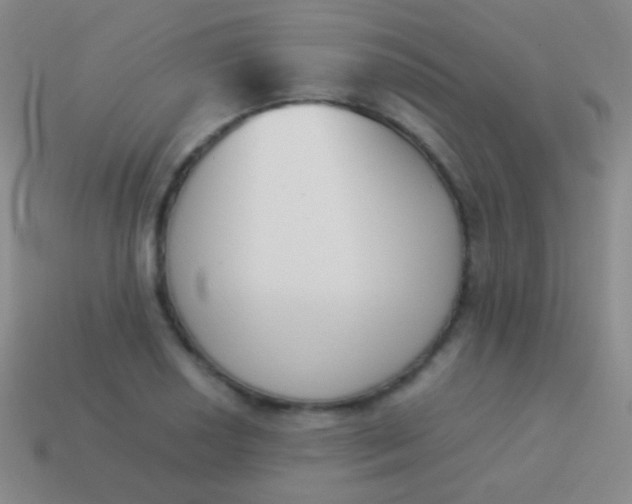 X0000114231034200910231459