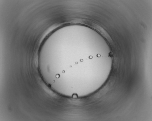 X0000114231036200910231459