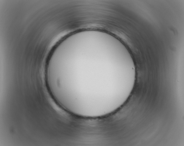 X0000114231038200910231500