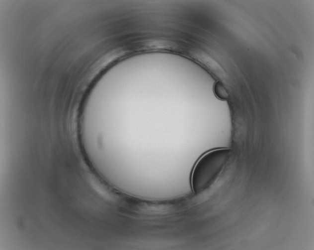 X0000114231039200910231500