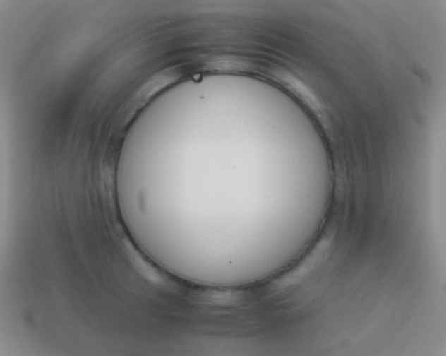 X0000114231041200910231500
