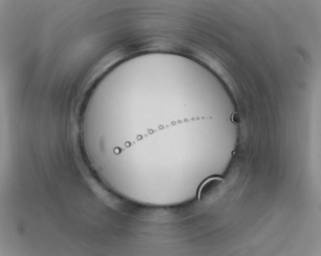 X0000114231042200910231500