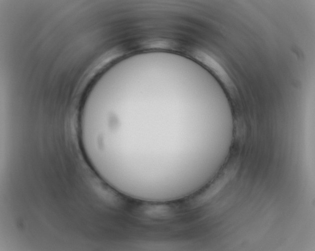 X0000114231043200910231500