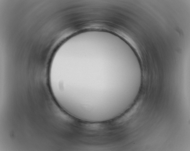 X0000114231045200910231500